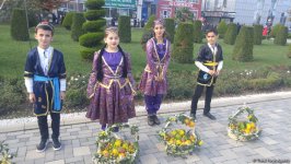 В Лянкяране проходит Фестиваль чая, чалтыка и цитрусовых (ФОТО)