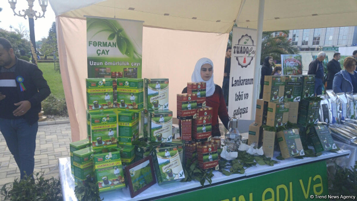 В Лянкяране проходит Фестиваль чая, чалтыка и цитрусовых (ФОТО)