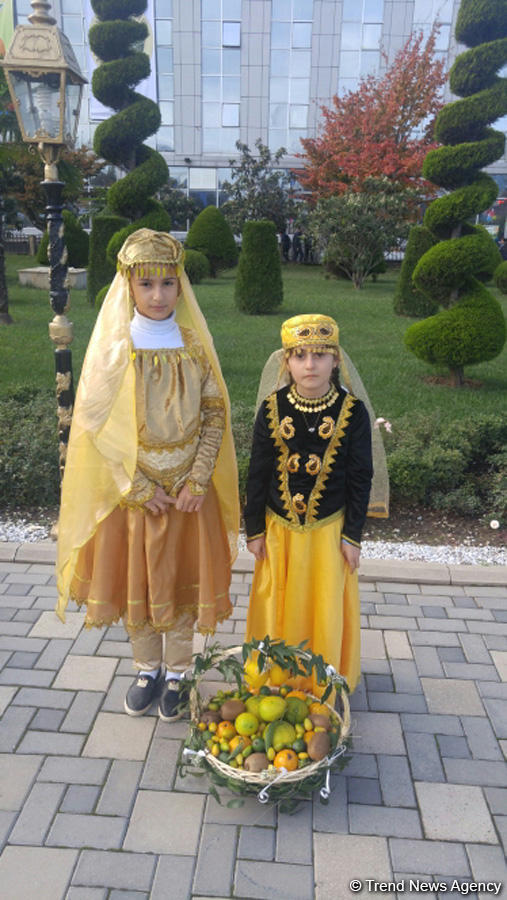 В Лянкяране проходит Фестиваль чая, чалтыка и цитрусовых (ФОТО)