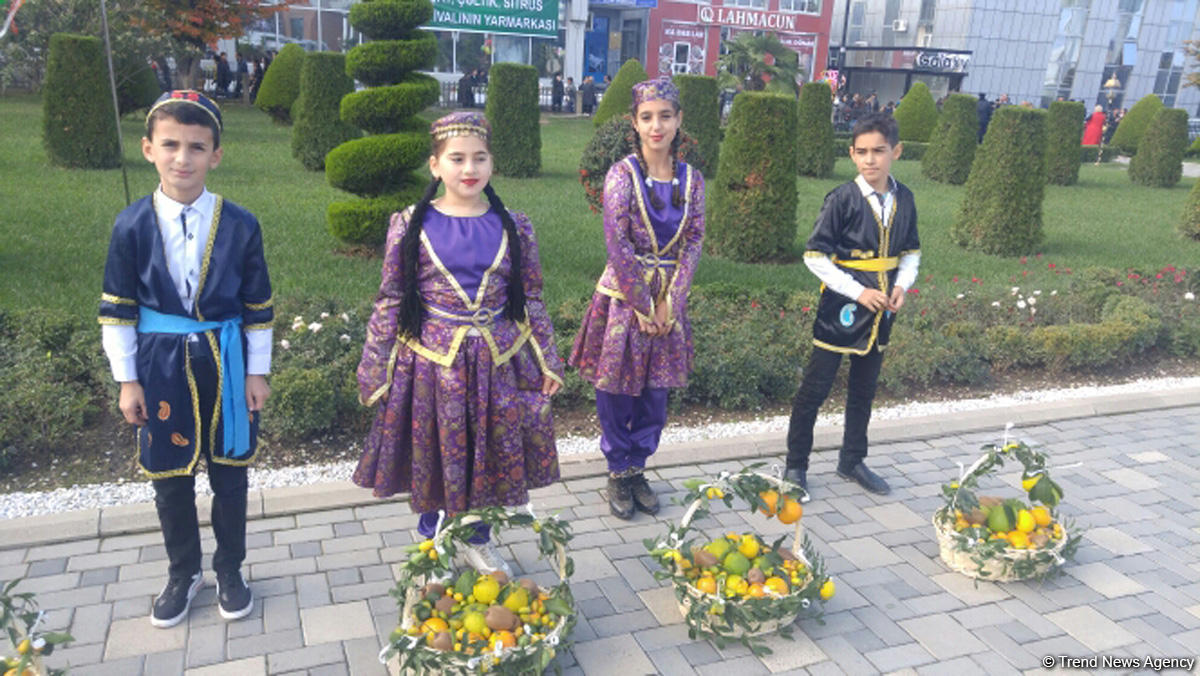 В Лянкяране проходит Фестиваль чая, чалтыка и цитрусовых (ФОТО)