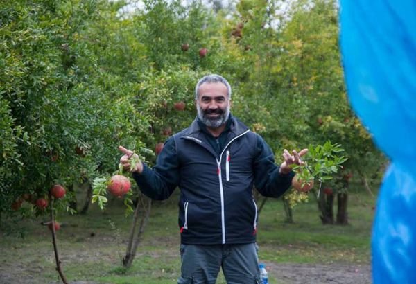 В Базеле появился азербайджанский гранатовый сад (ФОТО)