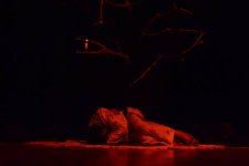 Современная интерпретация о многоженстве для бакинцев: Съешь гусиного мяса, узнаешь его вкус (ФОТО)