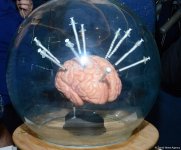 В Баку проходит сессия подкомиссии ООН по незаконному обороту наркотиков на Ближнем и Среднем Востоке (ФОТО)