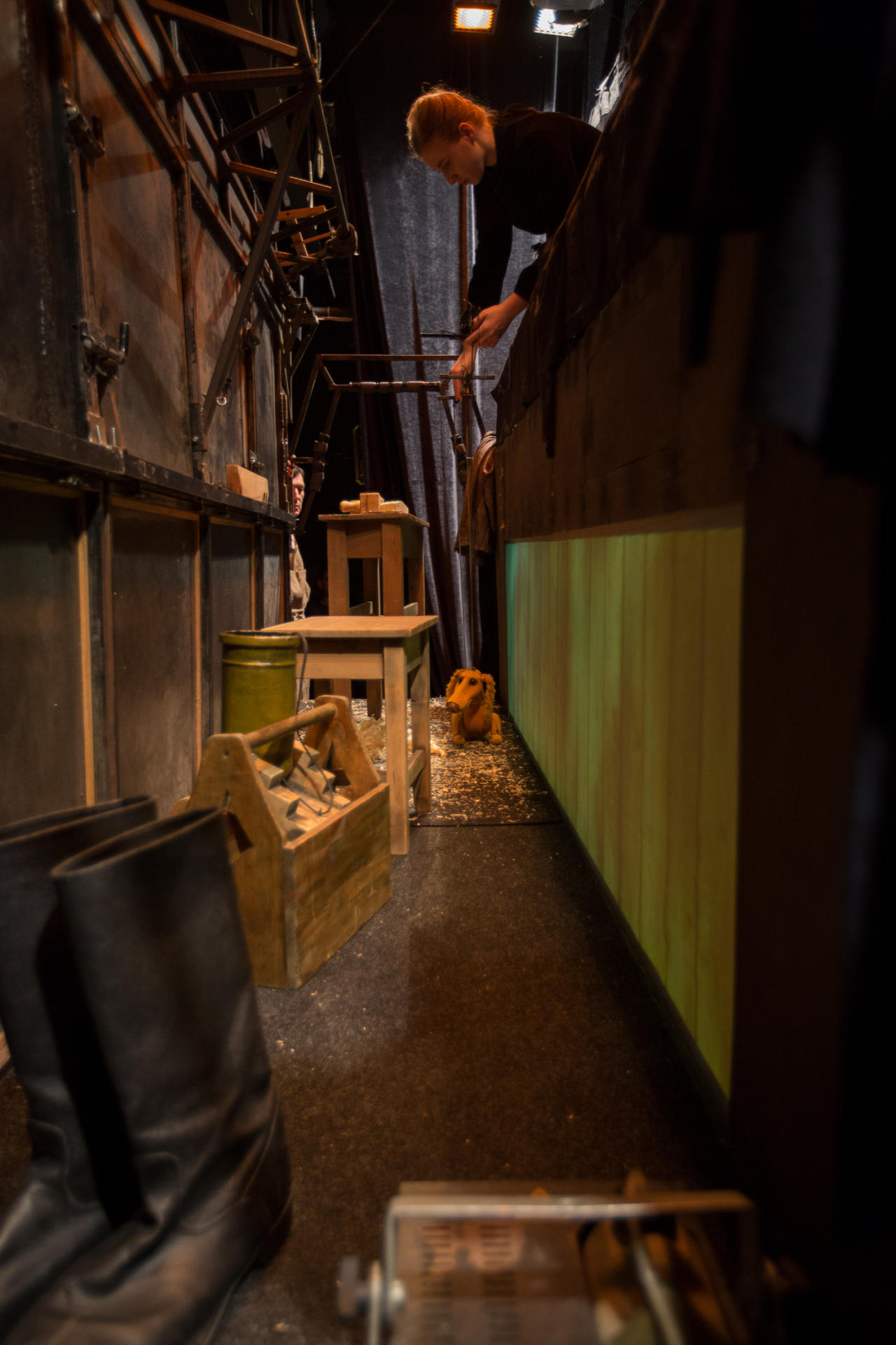 Каштанка в Баку: помесь такса с дворняжкой – очень похожая мордой на лисицу (ФОТО)