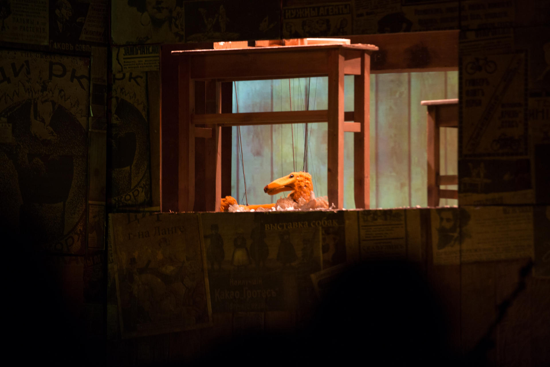 Каштанка в Баку: помесь такса с дворняжкой – очень похожая мордой на лисицу (ФОТО)