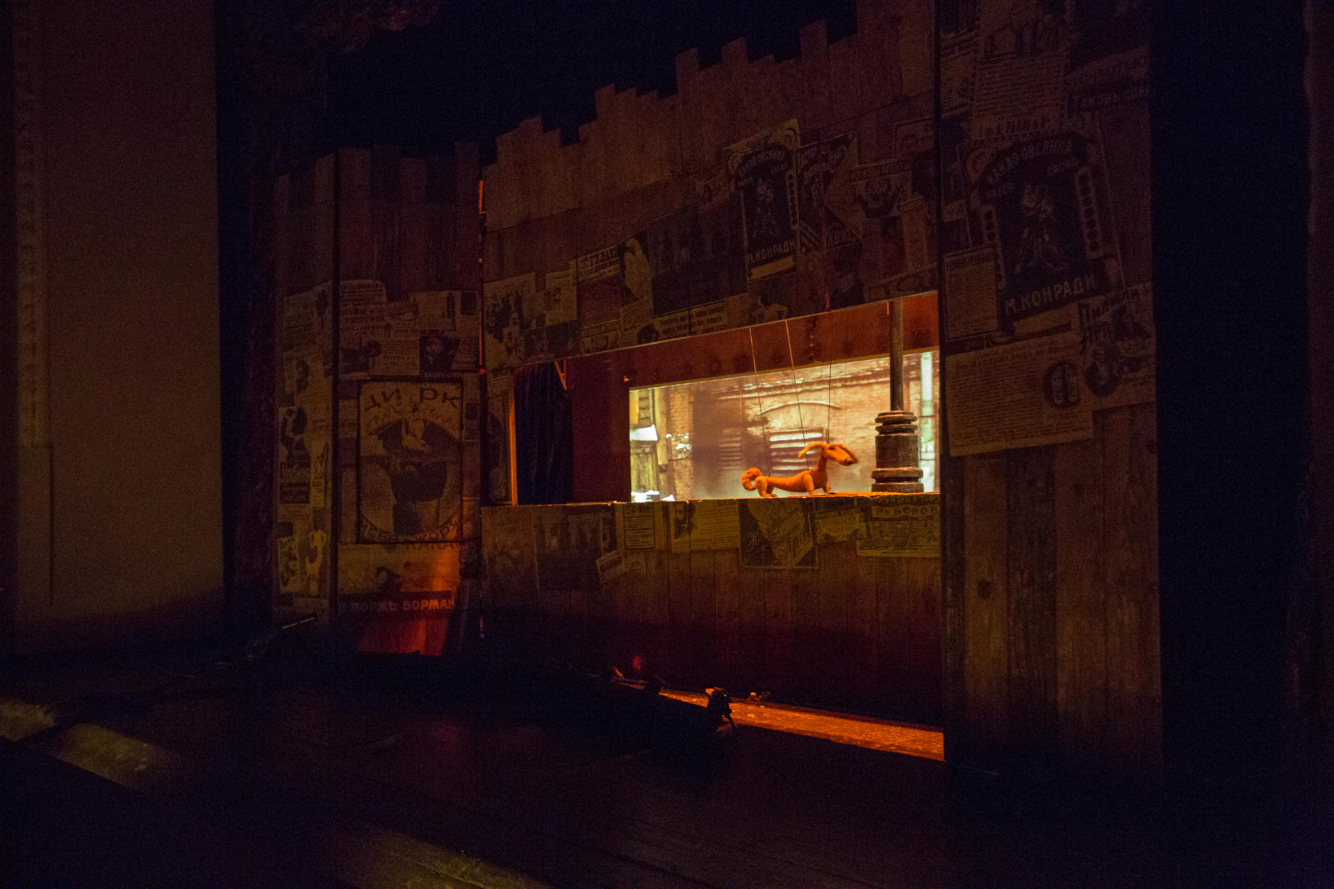 Каштанка в Баку: помесь такса с дворняжкой – очень похожая мордой на лисицу (ФОТО)