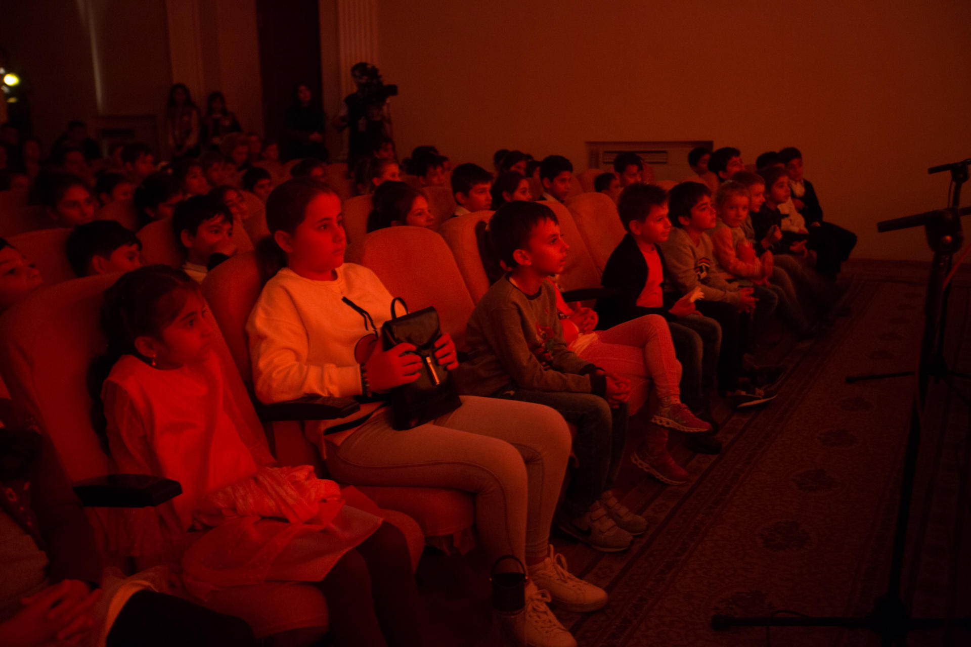 Каштанка в Баку: помесь такса с дворняжкой – очень похожая мордой на лисицу (ФОТО)