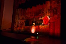 Каштанка в Баку: помесь такса с дворняжкой – очень похожая мордой на лисицу (ФОТО)