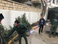 Воспитанники детсада и школьники посадили около 110 деревьев в Баку (ФОТО)