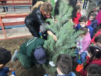 Воспитанники детсада и школьники посадили около 110 деревьев в Баку (ФОТО)