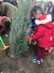 Воспитанники детсада и школьники посадили около 110 деревьев в Баку (ФОТО)