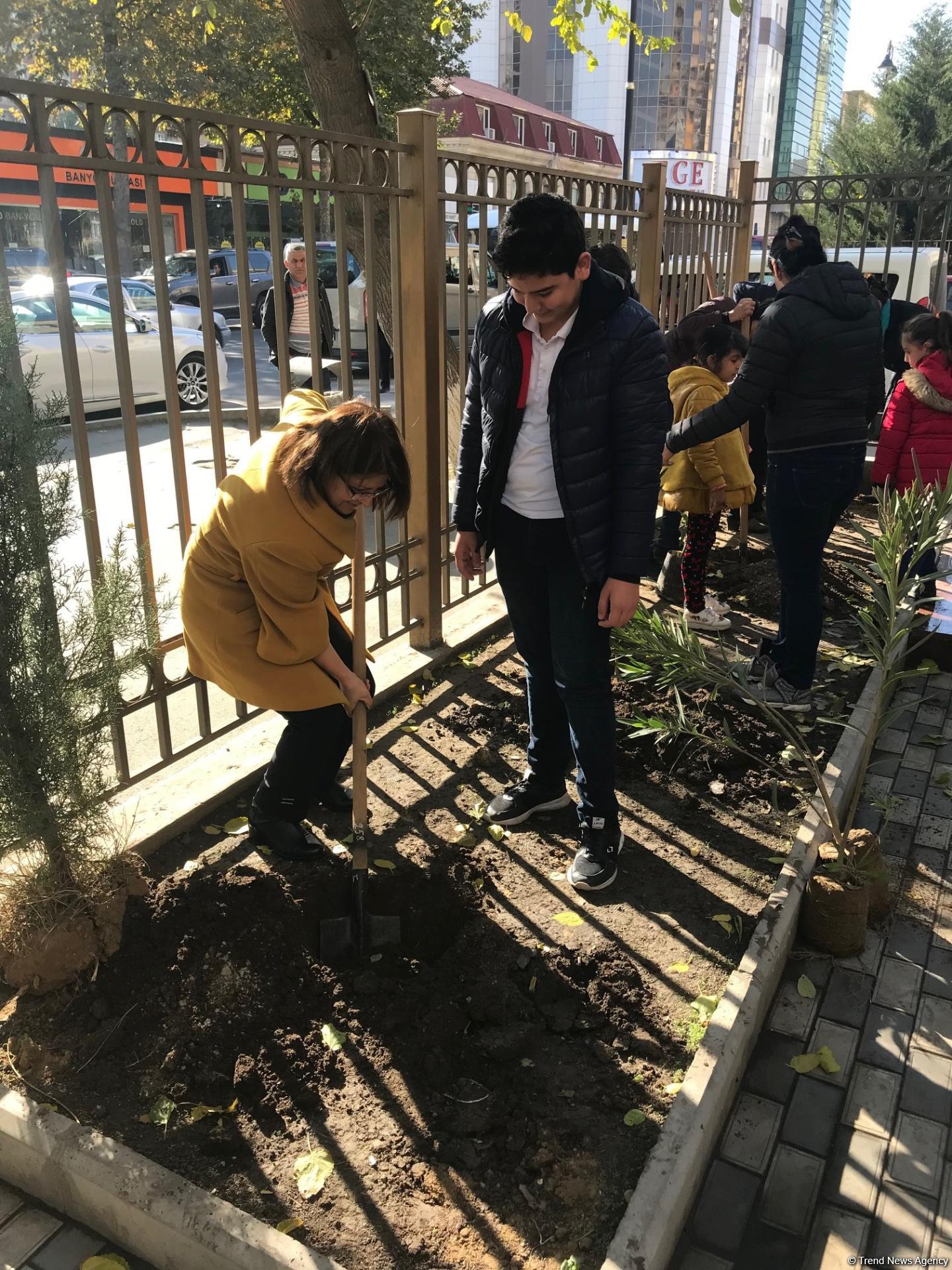 Воспитанники детсада и школьники посадили около 110 деревьев в Баку (ФОТО)