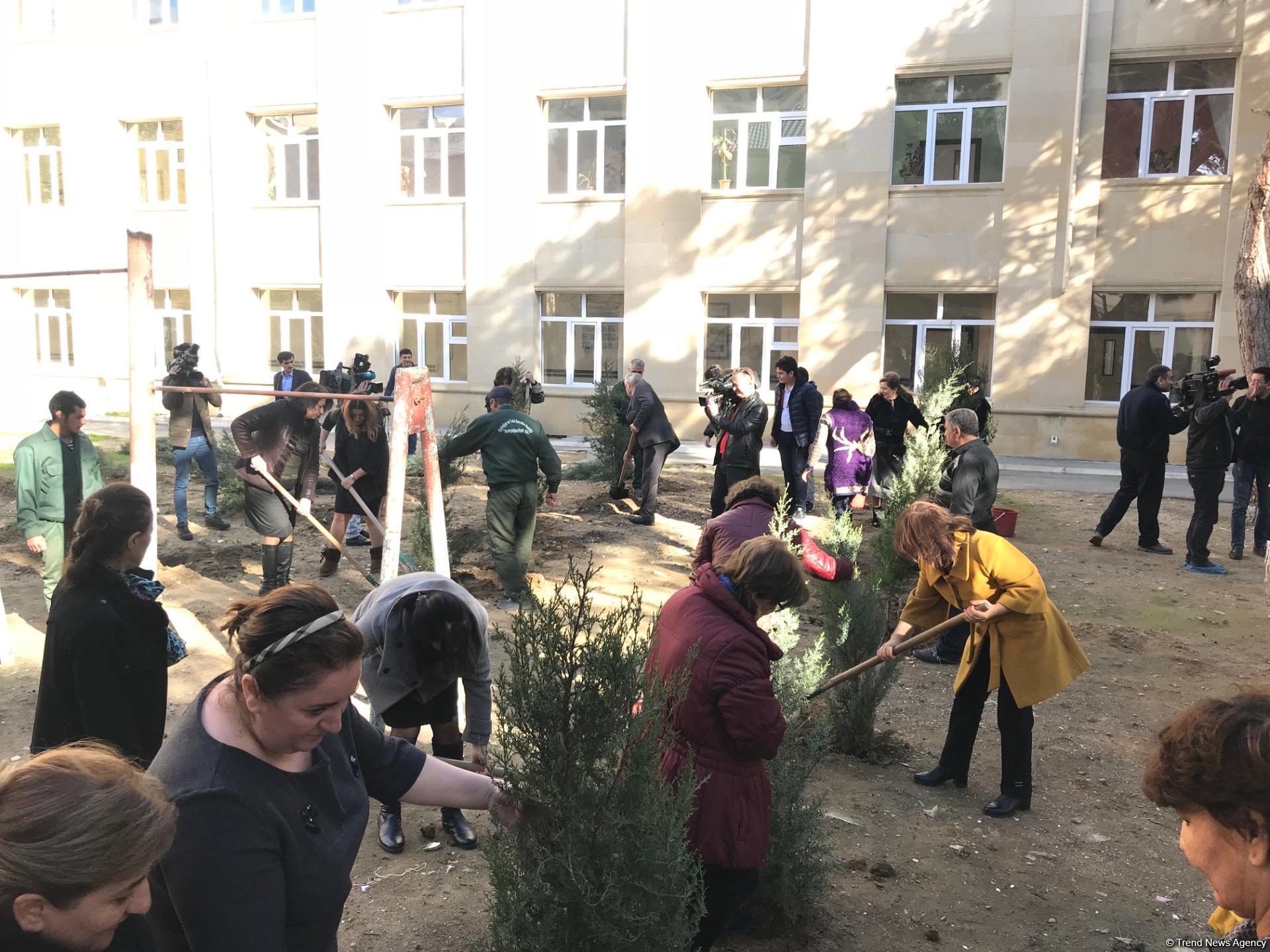 Воспитанники детсада и школьники посадили около 110 деревьев в Баку (ФОТО)