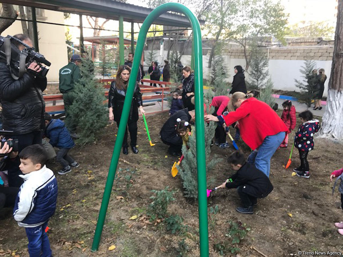 Воспитанники детсада и школьники посадили около 110 деревьев в Баку (ФОТО)