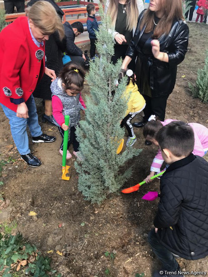 Воспитанники детсада и школьники посадили около 110 деревьев в Баку (ФОТО)