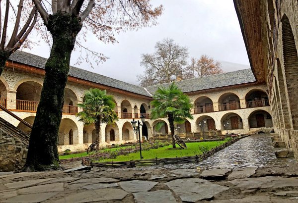 Генпрокуратура Азербайджана: Упавшая ветвь дерева была неповрежденной