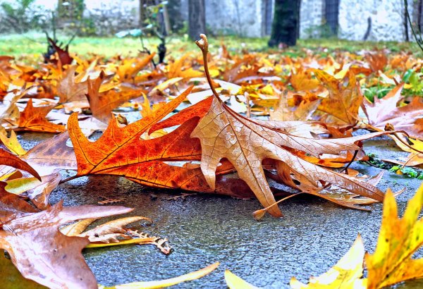 В Азербайджане осень вступает в свои права
