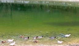 Золотая осень в Шеки – когда оказываешься в сказке (ФОТО)