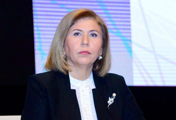 Неточность переданных Арменией карт минных полей затягивает восстановительные работы - Бахар Мурадова