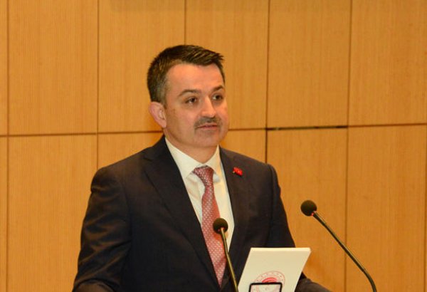 В Турции нет риска возникновения дефицита продовольствия – министр