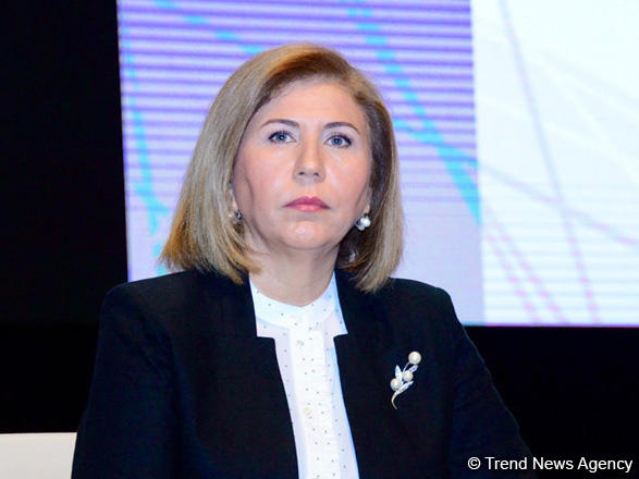 Неточность переданных Арменией карт минных полей затягивает восстановительные работы - Бахар Мурадова