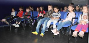 В Баку появилась корова, которая залезает на дерево и ищет клад (ФОТО)