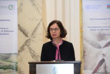 FAO заинтересована реализовывать с Азербайджаном совместные проекты в третьих странах (ФОТО)