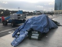 В Баку установят елку высотой в 37 метров (ФОТО)