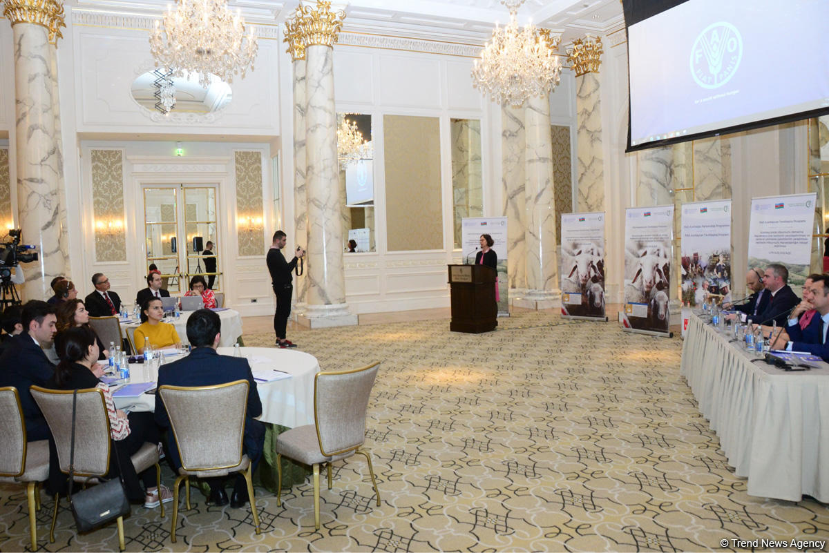 FAO заинтересована реализовывать с Азербайджаном совместные проекты в третьих странах (ФОТО)