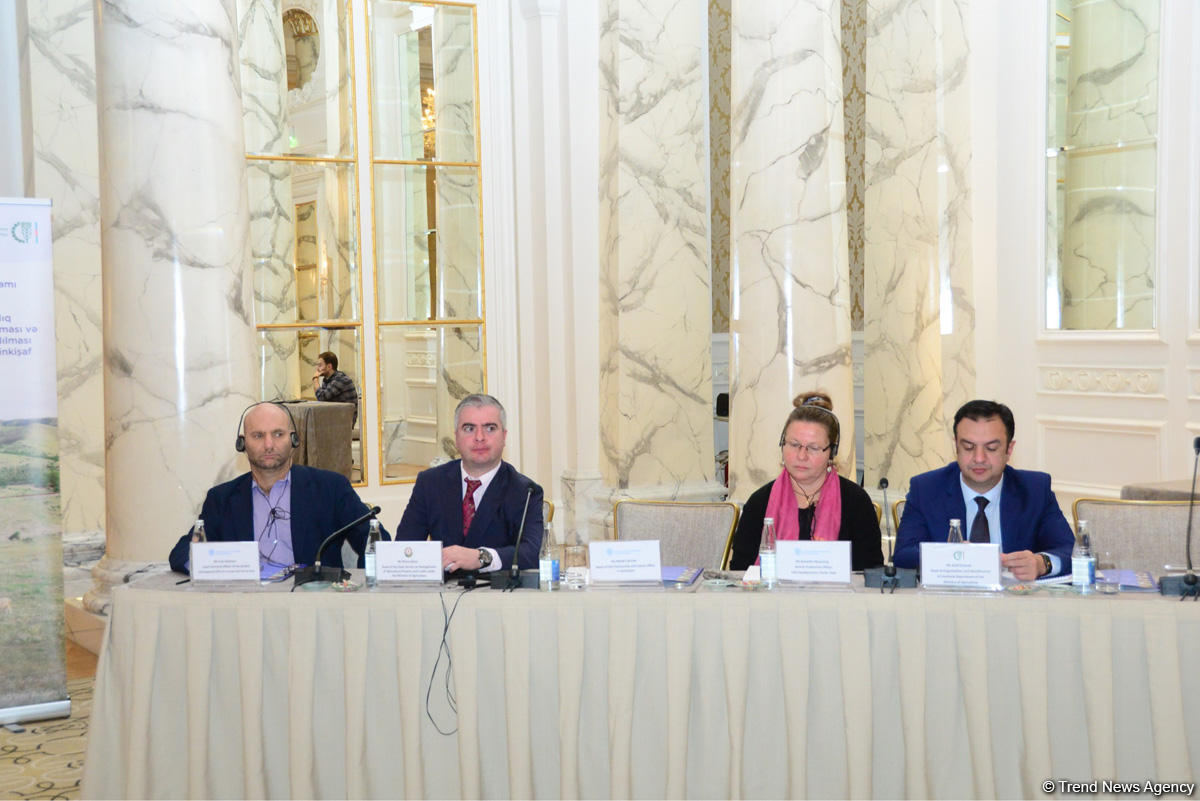 FAO заинтересована реализовывать с Азербайджаном совместные проекты в третьих странах (ФОТО)