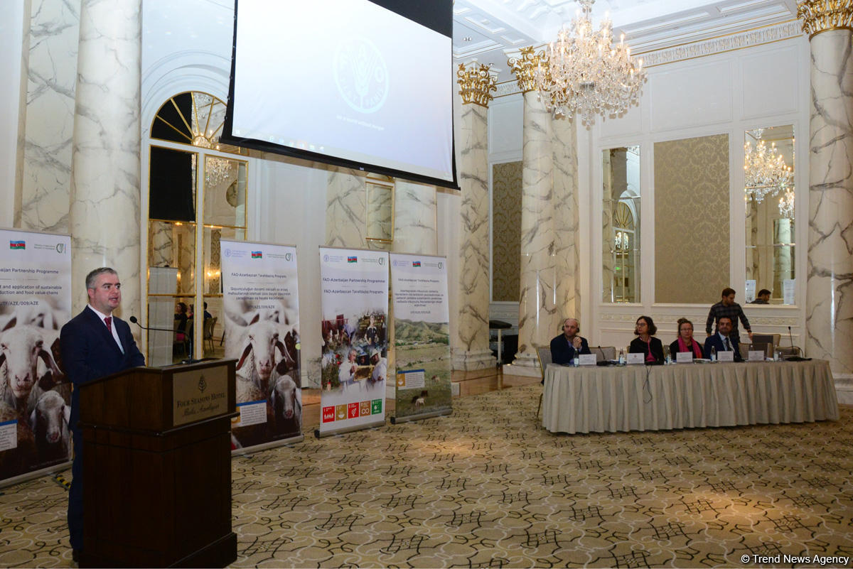 FAO заинтересована реализовывать с Азербайджаном совместные проекты в третьих странах (ФОТО)