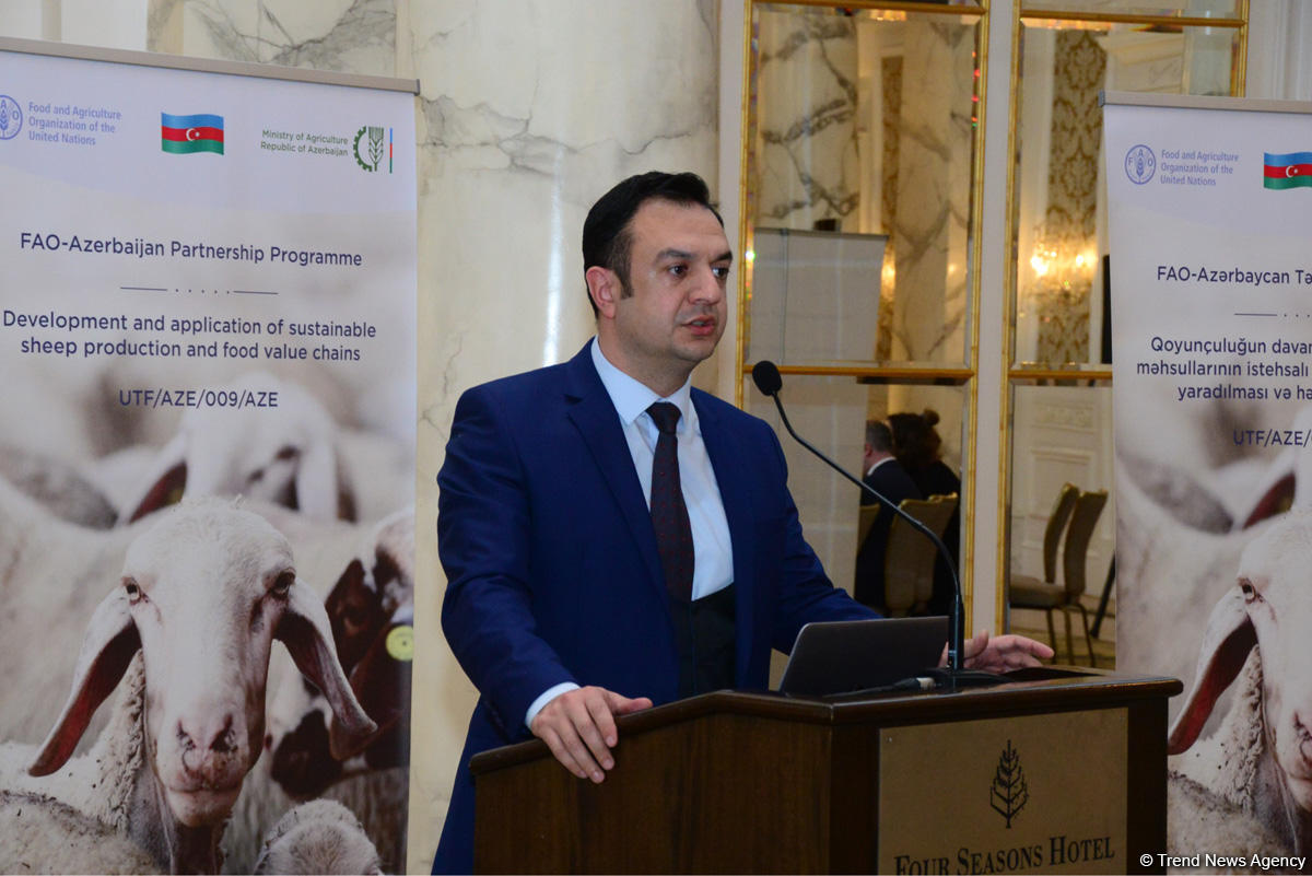 FAO заинтересована реализовывать с Азербайджаном совместные проекты в третьих странах (ФОТО)