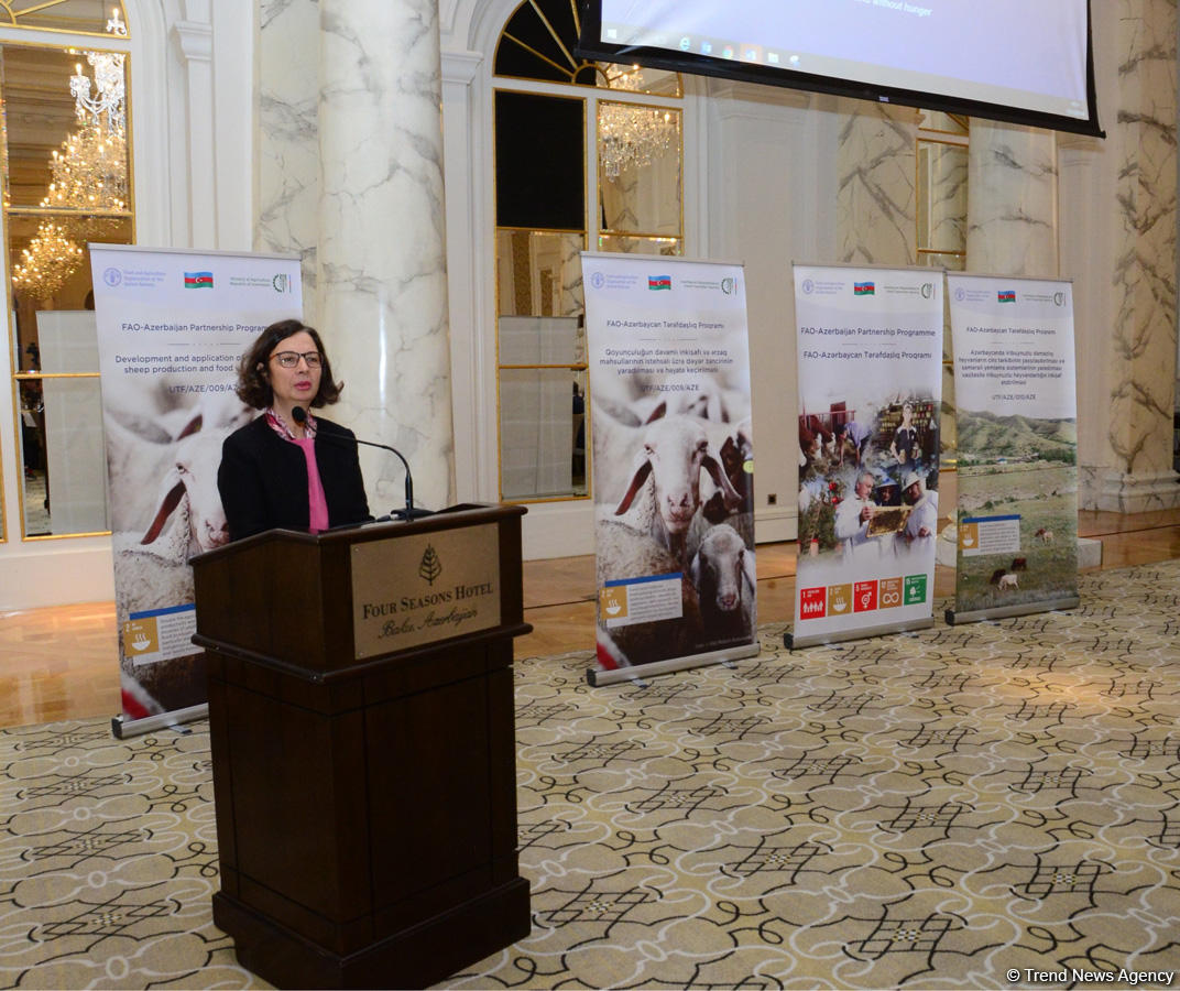 FAO заинтересована реализовывать с Азербайджаном совместные проекты в третьих странах (ФОТО)