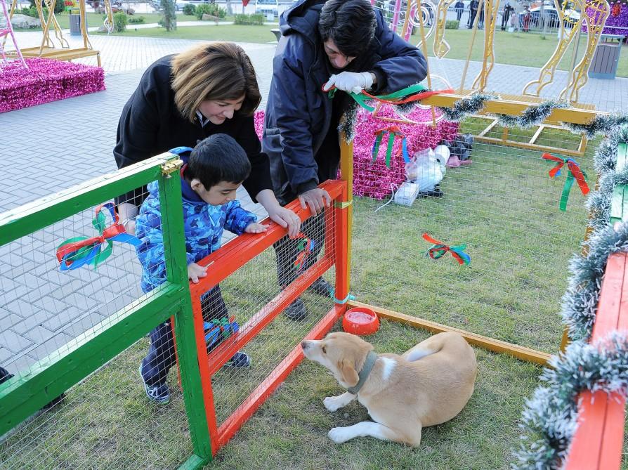 Фонд Гейдара Алиева организовал развлекательную программу для воспитанников детдомов (ФОТО)