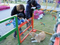 Фонд Гейдара Алиева организовал развлекательную программу для воспитанников детдомов (ФОТО)