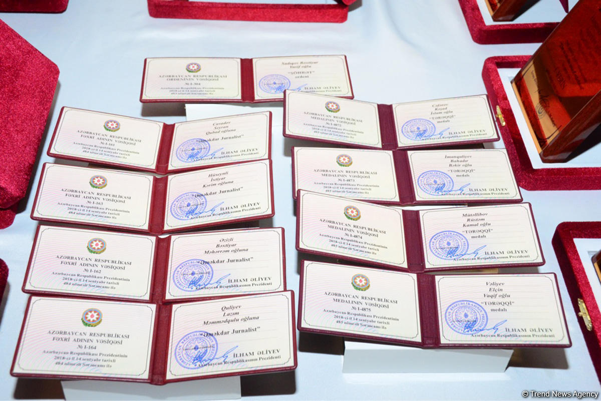 Али Гасанов: Для азербайджанской журналистики 2018 год был успешным (ФОТО)