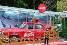 Баку в праздничном убранстве (Фотосессия)