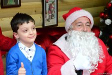 Баку в праздничном убранстве (Фотосессия)