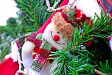 Баку в праздничном убранстве (Фотосессия)