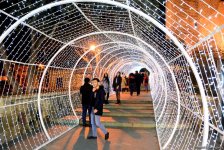 Баку в праздничном убранстве (Фотосессия)