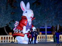 Баку в праздничном убранстве (Фотосессия)