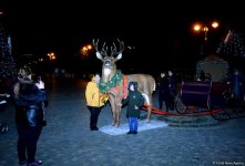 Баку в праздничном убранстве (Фотосессия)