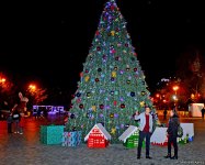 Баку в праздничном убранстве (Фотосессия)