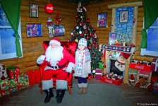 Баку в праздничном убранстве (Фотосессия)