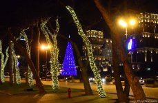 Баку в праздничном убранстве (Фотосессия)