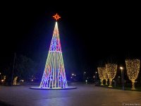 Баку в праздничном убранстве (Фотосессия)