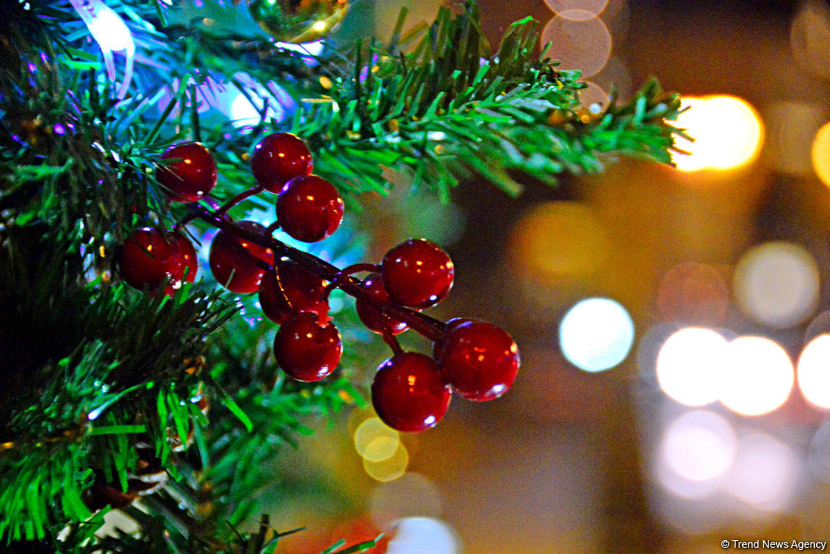 Баку в праздничном убранстве (Фотосессия)