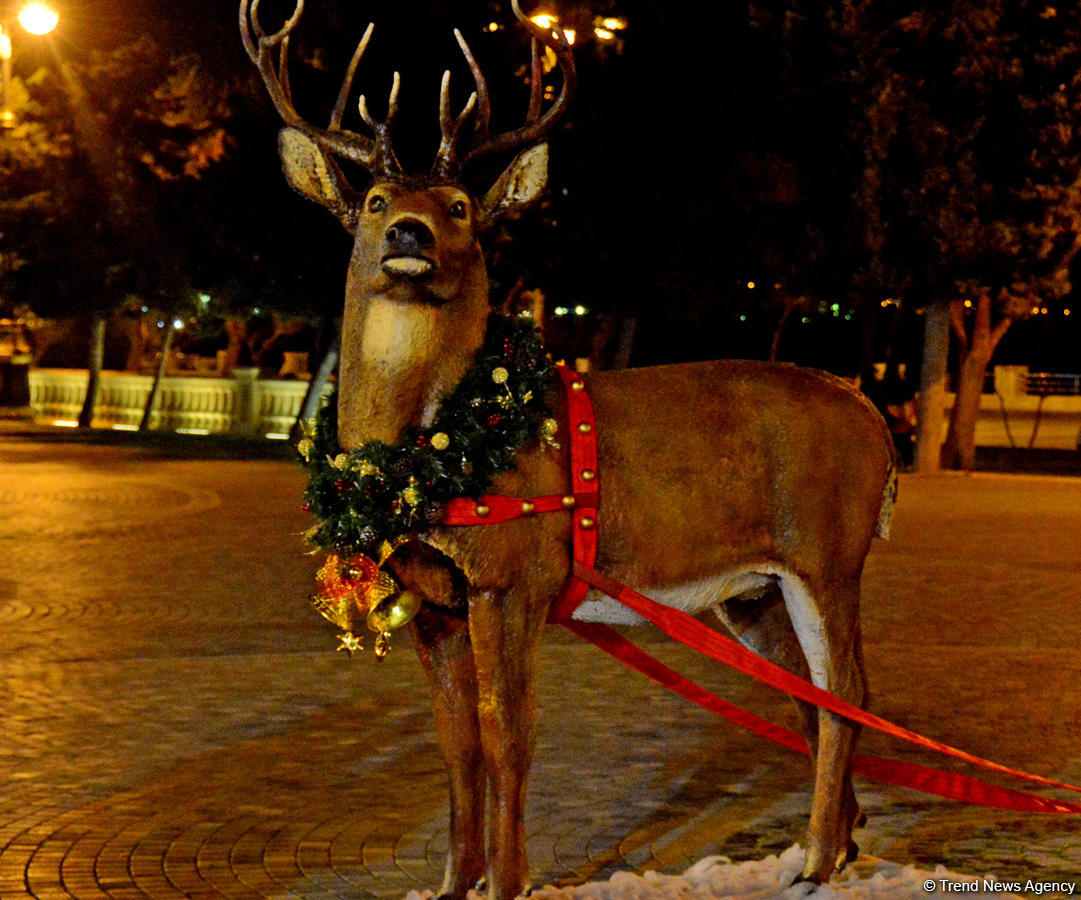 Баку в праздничном убранстве (Фотосессия)