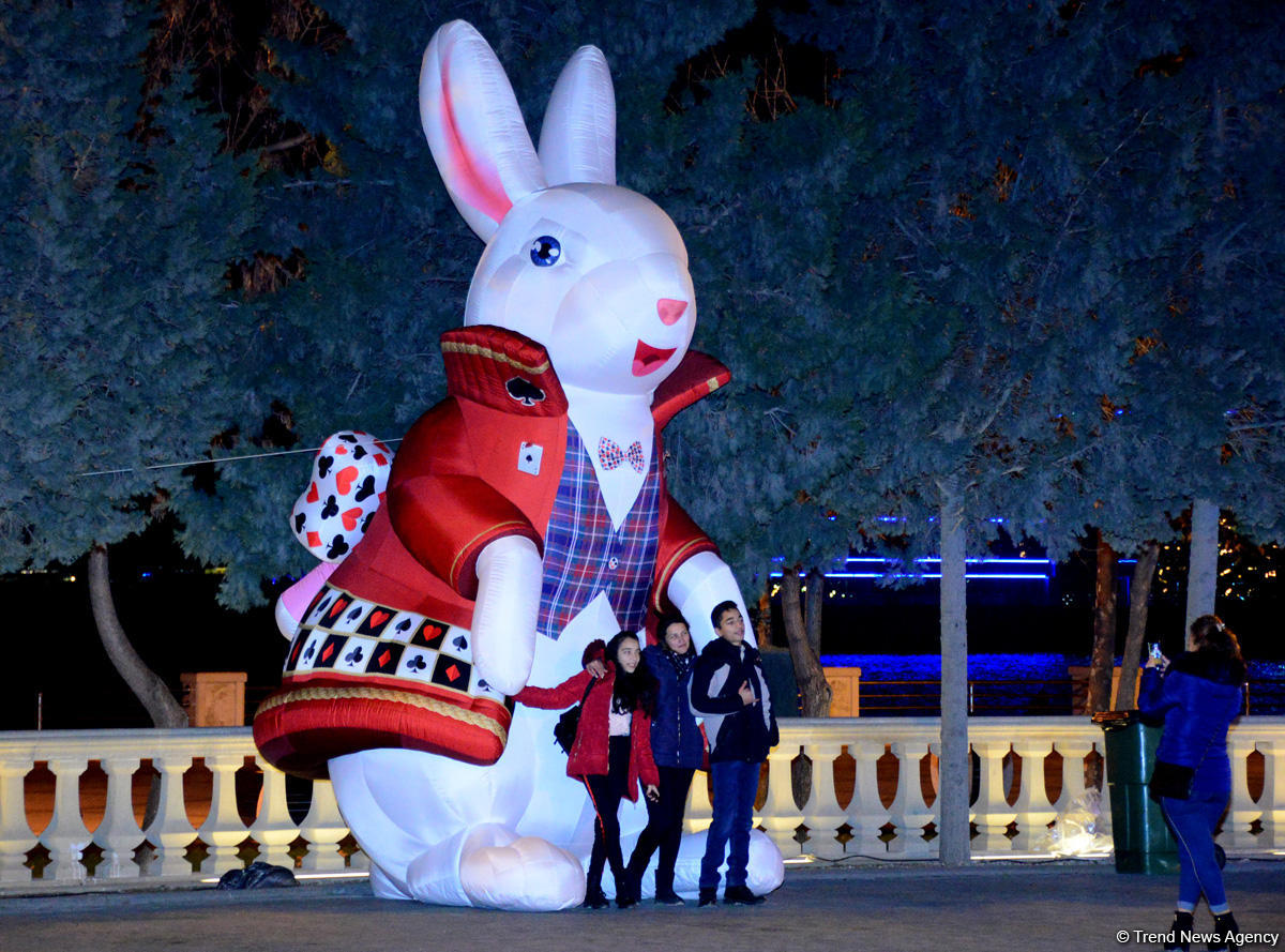 Баку в праздничном убранстве (Фотосессия)