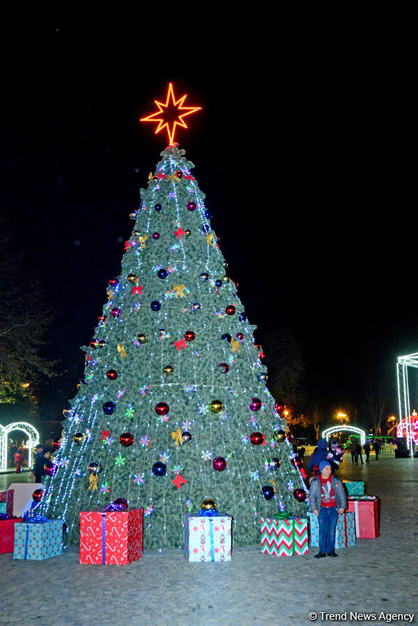 Баку в праздничном убранстве (Фотосессия)